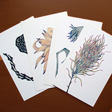 ポストカード／植物